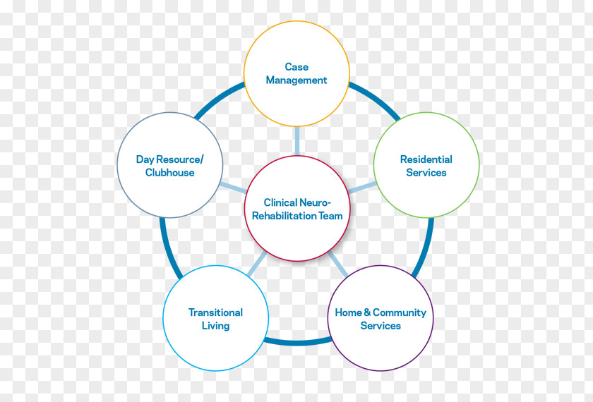 Design Brand Organization Human Behavior Web Analytics PNG