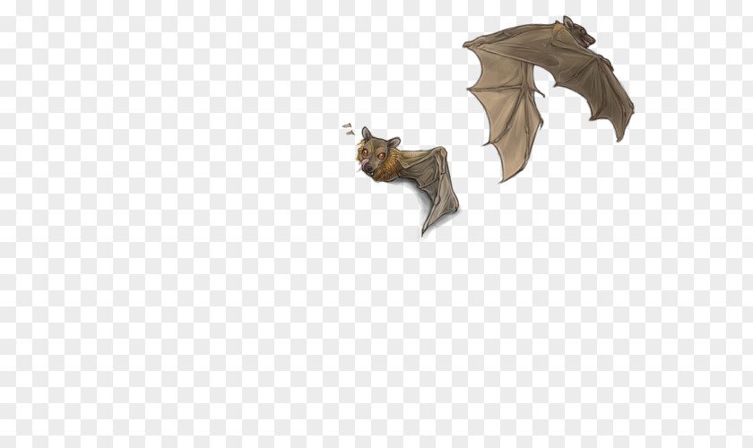 Dog Canidae Fauna BAT-M Mammal PNG