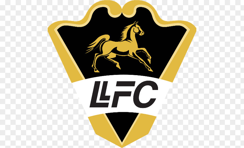 Football Llaneros F.C. Categoría Primera B Leones Barranquilla Valledupar PNG