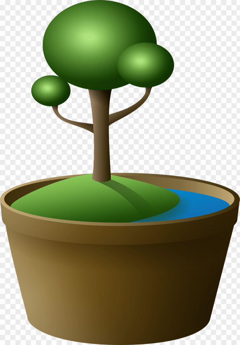 Pot Tree PNG