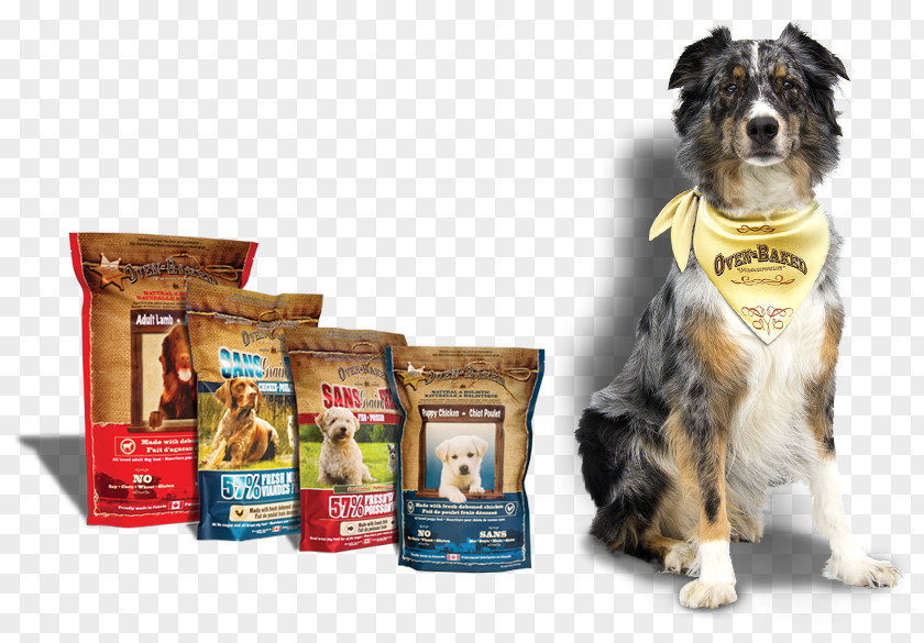 Puppy Dog Breed Food Companion PNG
