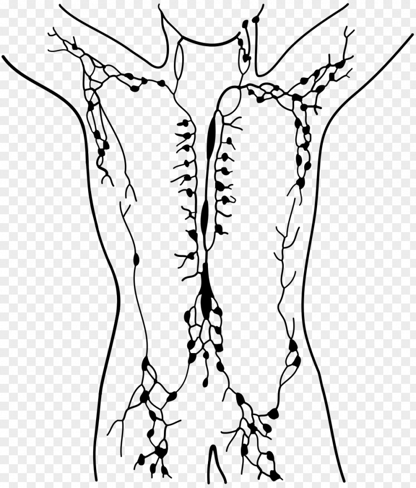 Swollen Lymphatic System Manual Drainage Vessel Lymph Node PNG