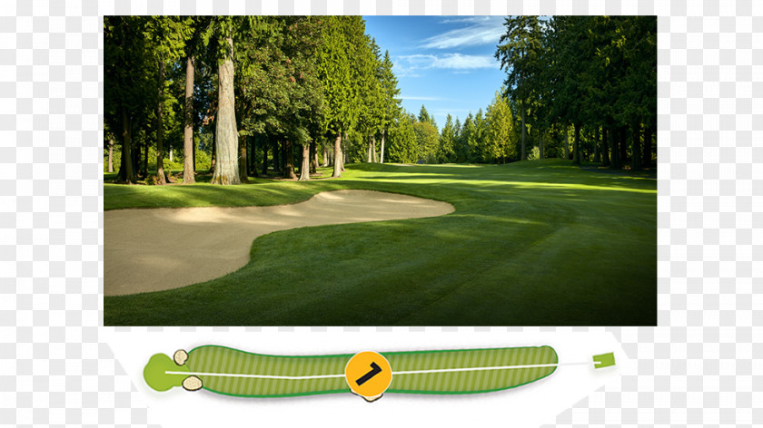 Womens Pga Championship Golf Clubs Course Lawn PNG