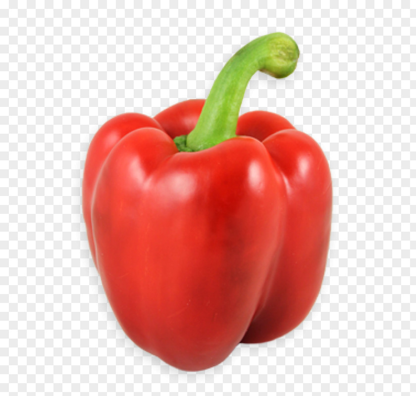 Bell Pepper Chili Hatch Clip Art PNG