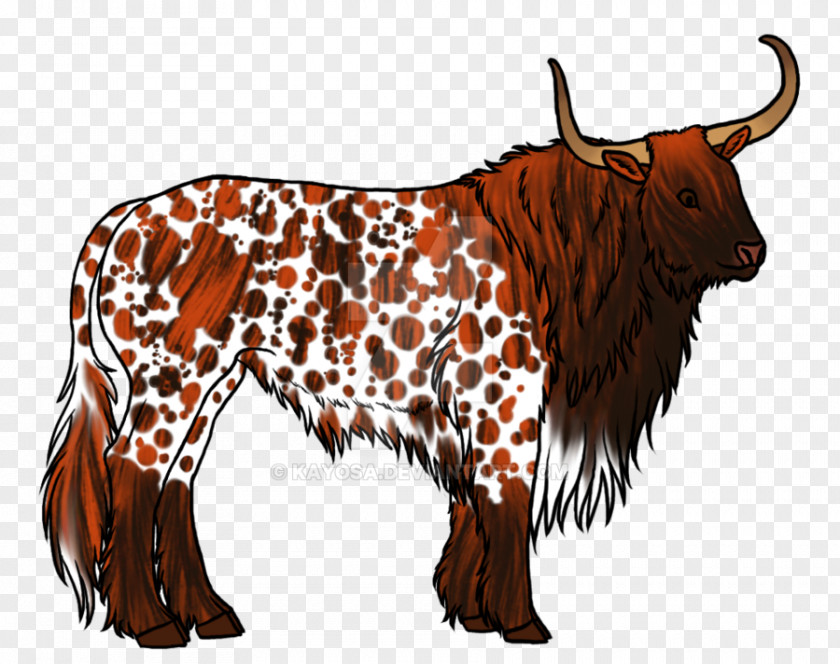 Longhorn Cow Wallpaper Texas Dairy Cattle English Ox Domestic Yak PNG