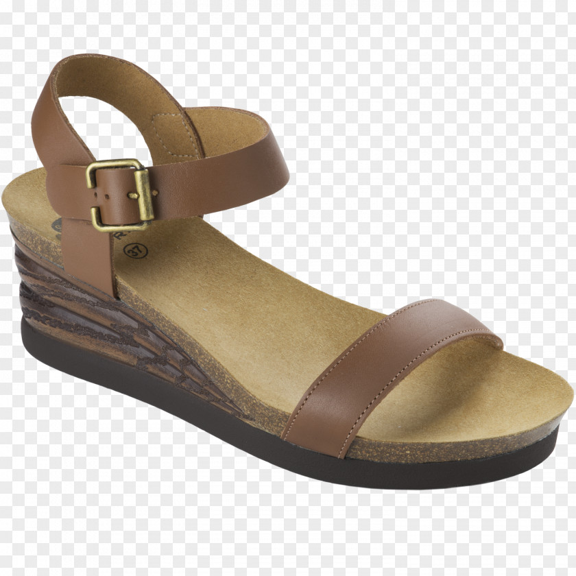 Sandal Slipper Dr. Scholl's Shoe Wedge PNG