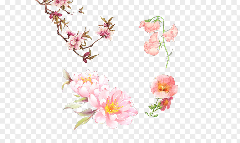Antique Flowers Google Images Drawing PNG