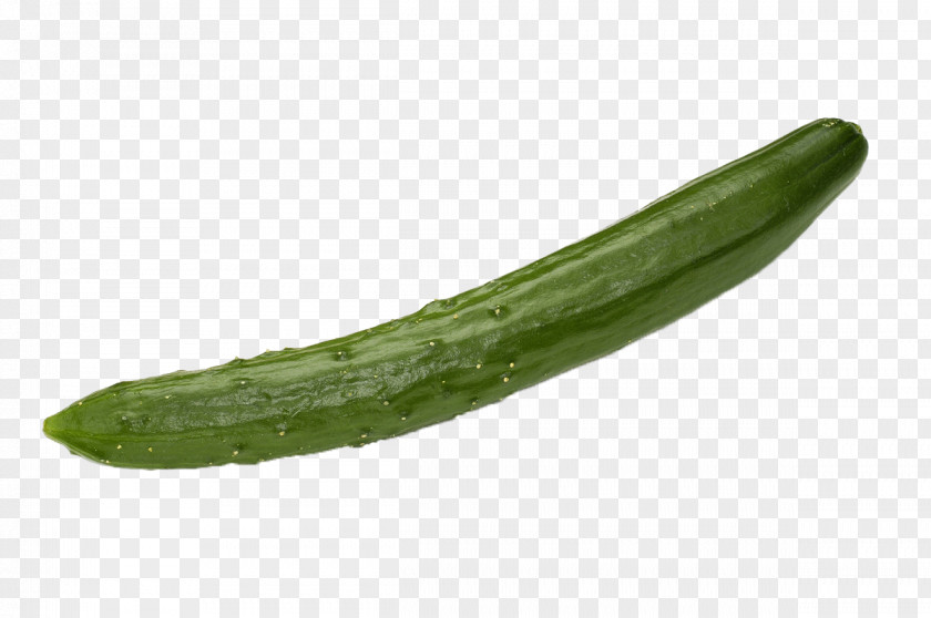 Cucumber Pickled Vegetable PNG