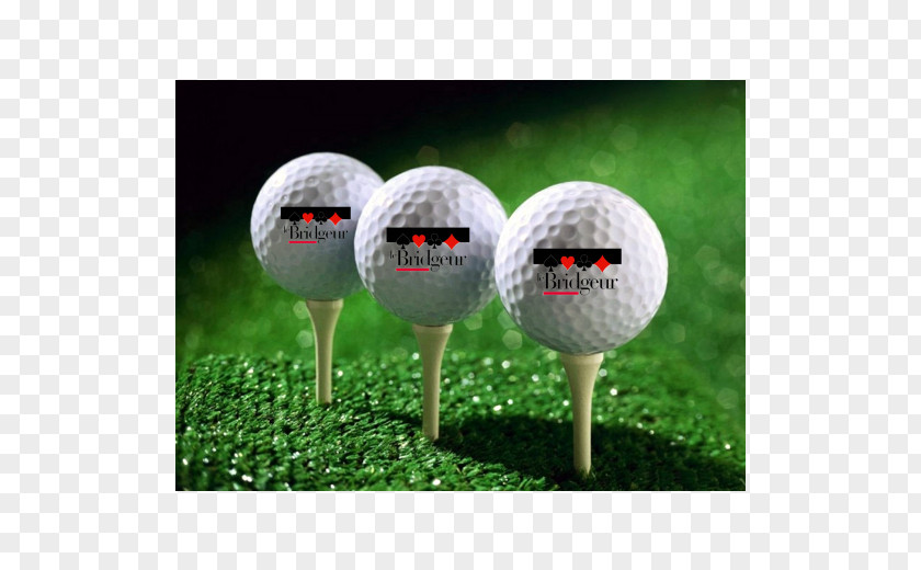 Golf Course Clubs Balls PNG