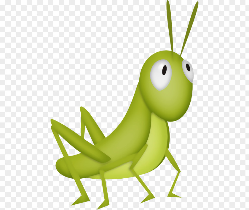 Grasshopper The Ant And Cricket Clip Art PNG