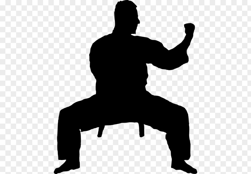 Karate Black Belt Martial Arts Budō PNG