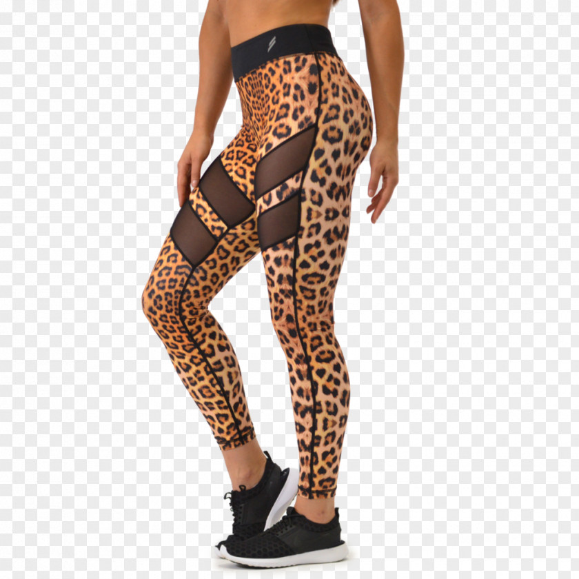Leopard Leggings Animal Print Tights Boxer Shorts PNG