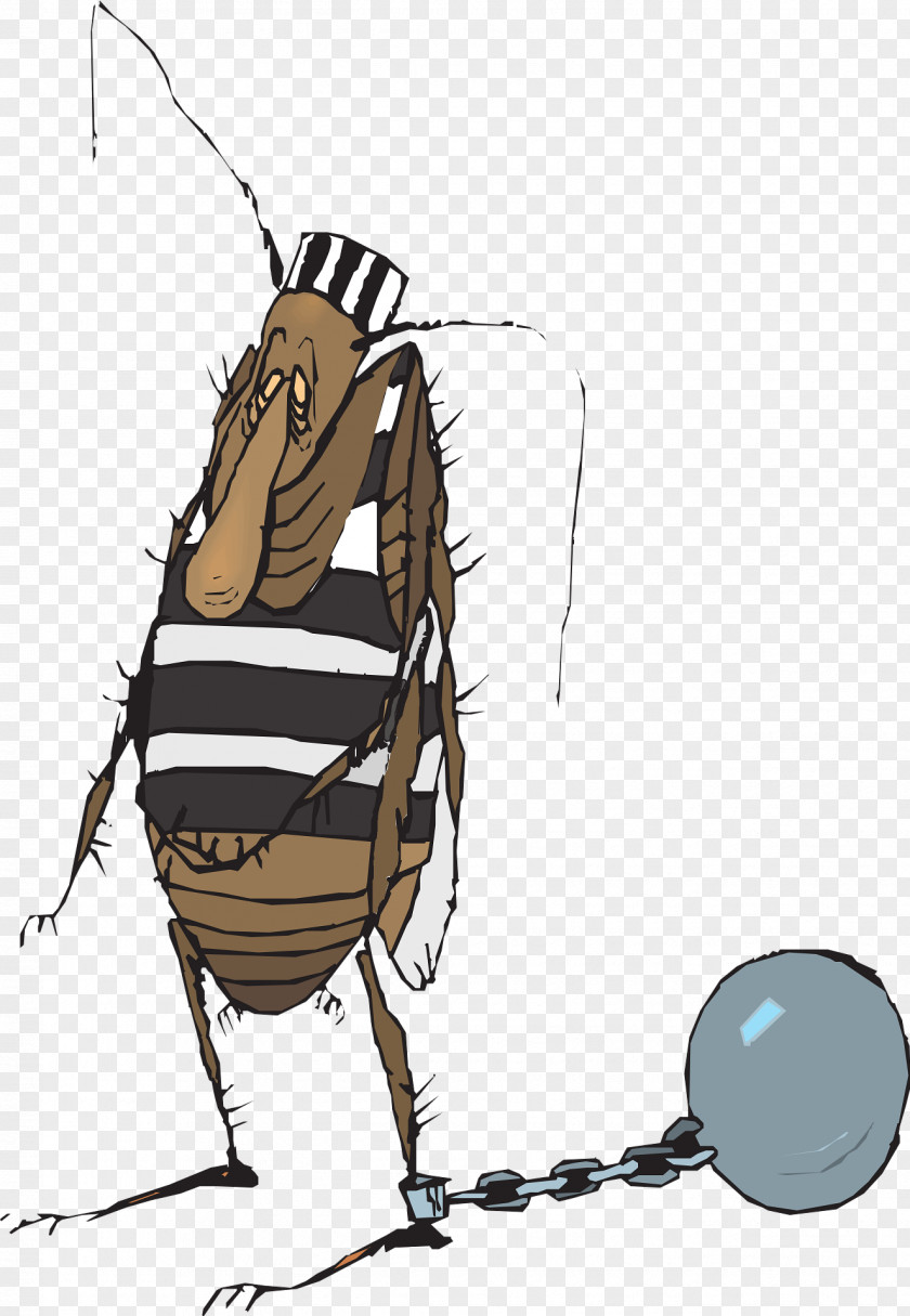 Mosquito Prisoner Ball And Chain PNG