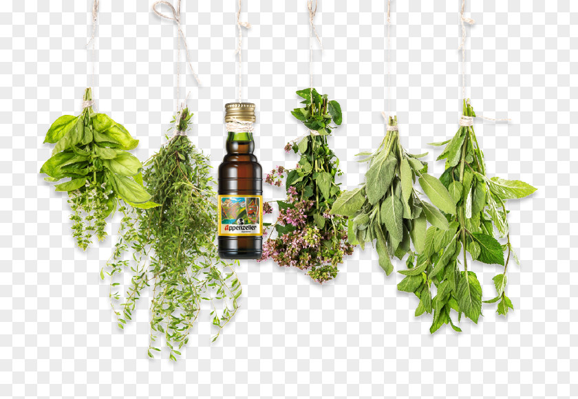 Oil Herb Essential Health Food PNG
