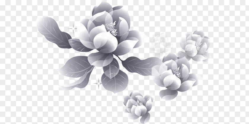 Peony Moutan Flower Petal PNG