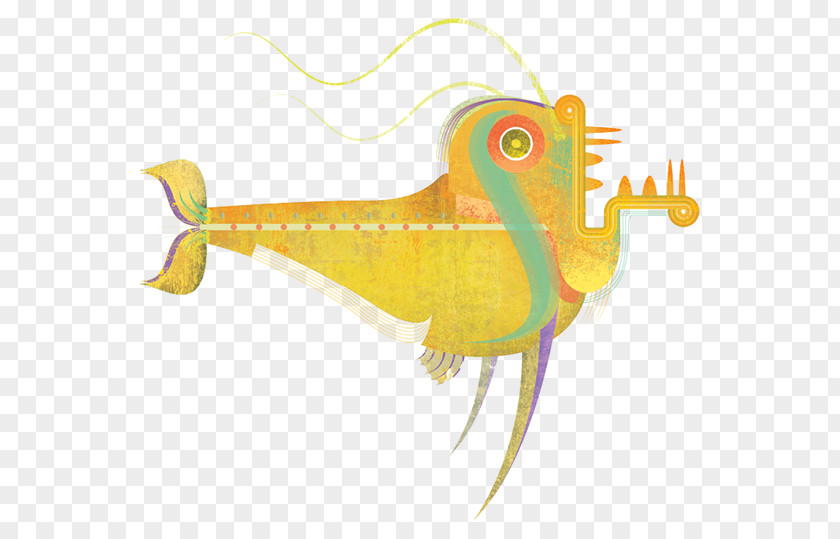 Tanque De Peixe Pacu Illustration Graphics Fish PNG