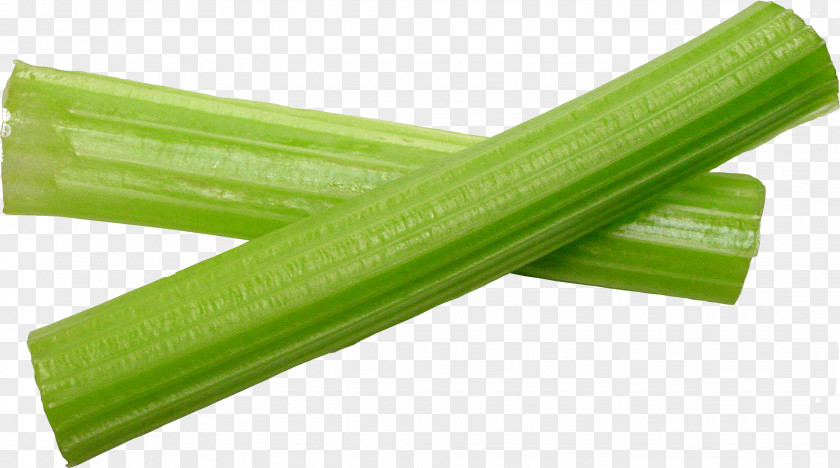 Wild Celery Vegetable Plant Stem Ingredient Root PNG celery stem Root, rape clipart PNG