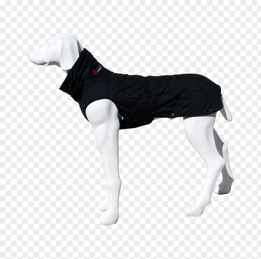 Woozi Dog Breed Clothes Group (dog) PrimaLoft PNG