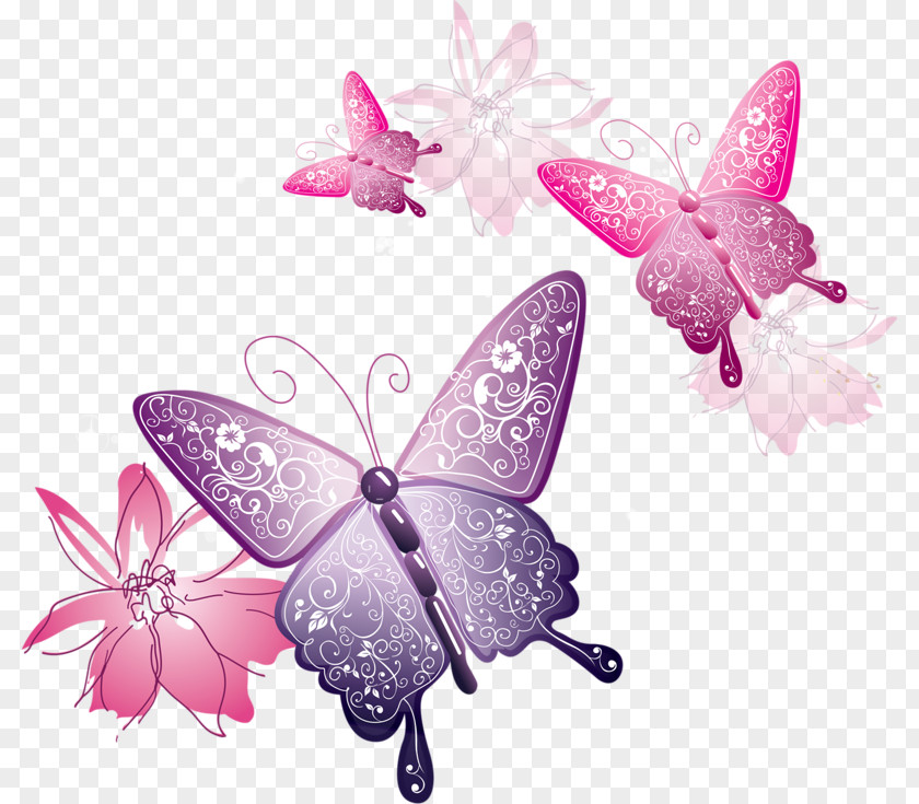 Butterfly Clip Art PNG