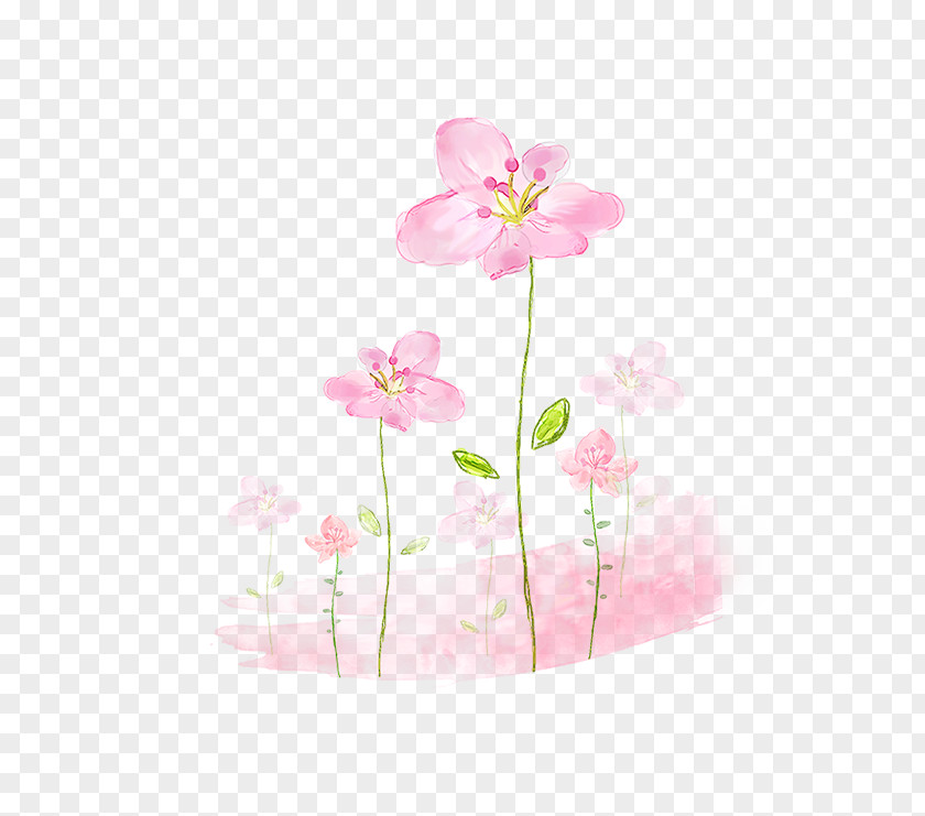 Delicate Flower Pink Flowers Watercolor Painting Floral Design Image PNG