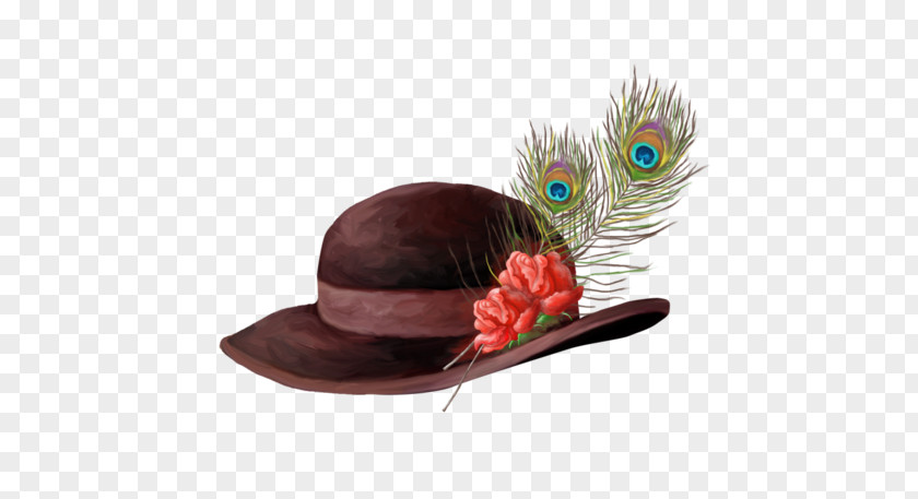 Feather Hat Bonnet Cap PNG