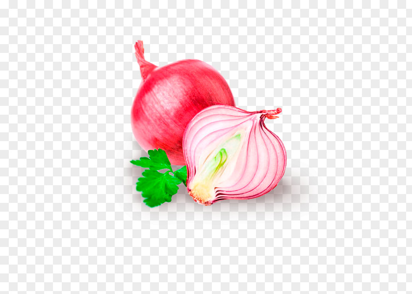 Health Red Onion Food Stock Photography Shallot PNG