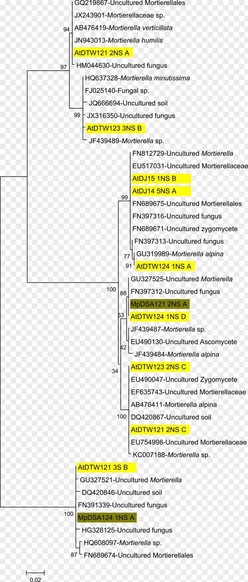 Line Document Angle PNG