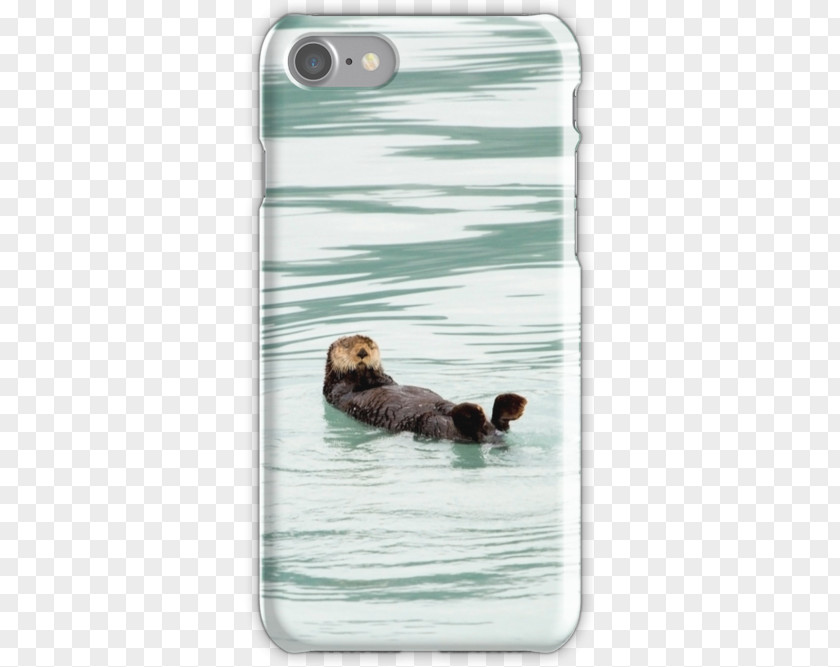 Sea Otter Lion Duck PNG