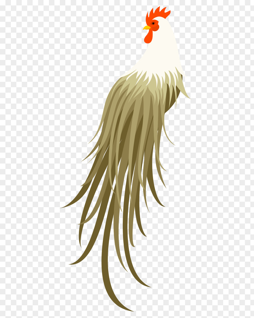 Crow Material Rooster Chicken Bird PNG