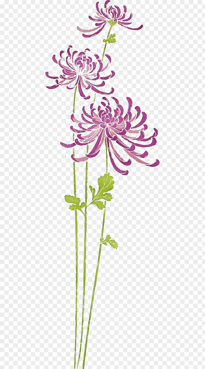 Floral Design PNG