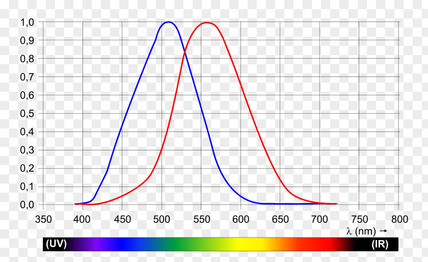 Light Photopic Vision Wavelength Luminosity Function Visual Perception PNG