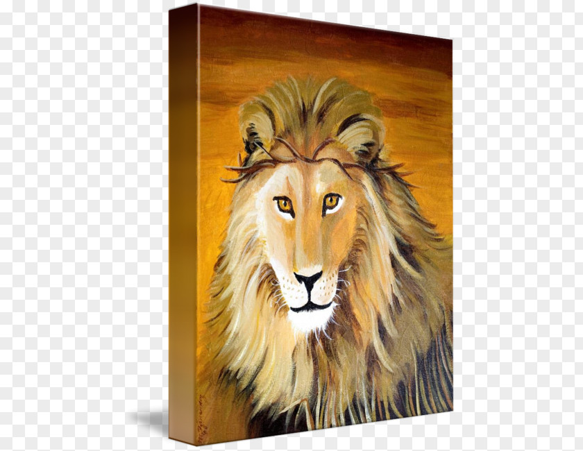 Lion Of Judah Watercolor Painting Whiskers Cat PNG