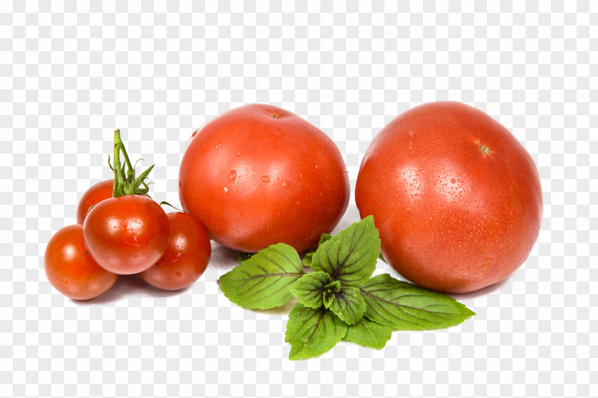 Vector Tomato Vegetable Fruits Et Lxe9gumes Food PNG
