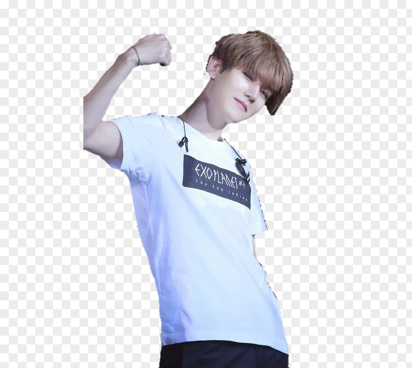 Baekhyun Sehun T-shirt EXO Rendering PNG