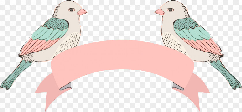 Feather PNG