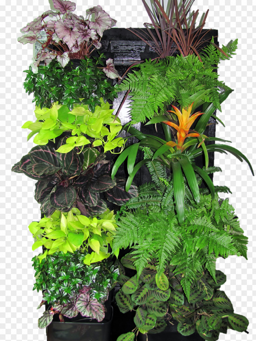 Houseplant Green Wall Garden Flowerpot PNG