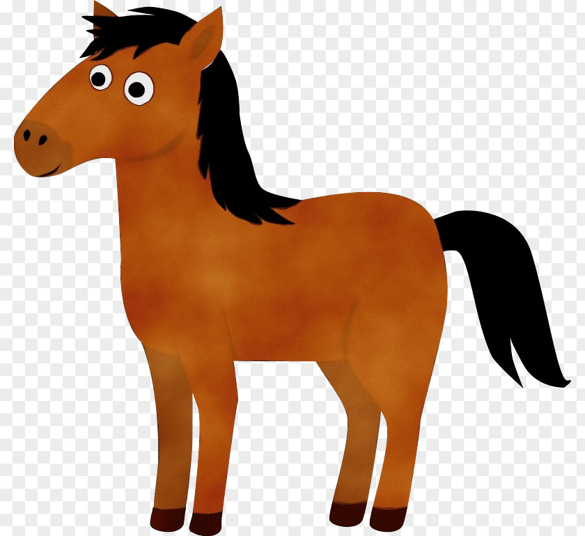 Pony Foal Mustang Stallion Mare PNG