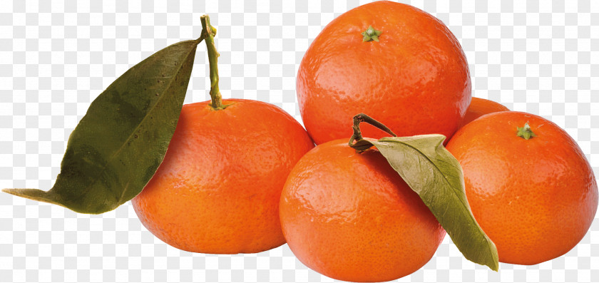 Product Promotion Food Tangerine Mandarin Orange Tangelo Tomato PNG