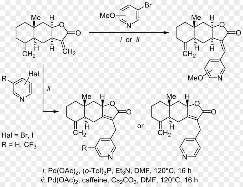 Radical 157 Sesquiterpene Lactone Chemical Synthesis Chemistry PNG