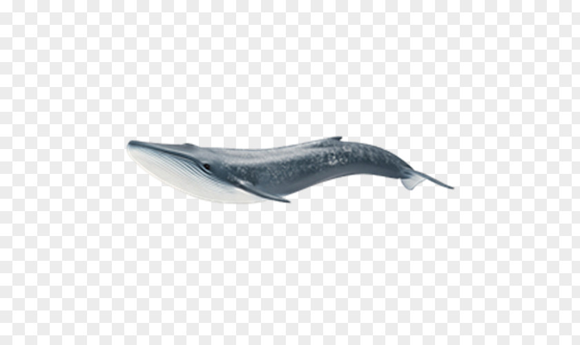Sperm Whale Schleich The Cetacea Toy PNG whale Toy, toy clipart PNG
