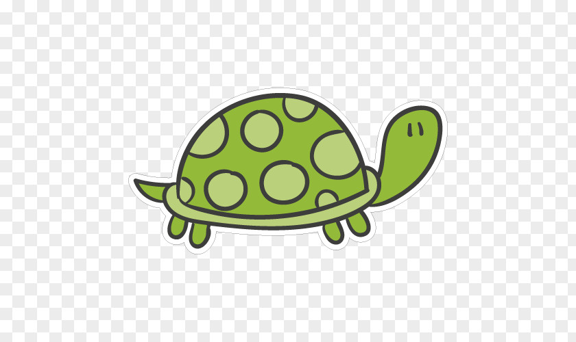 Turtle Tortoise Clip Art PNG