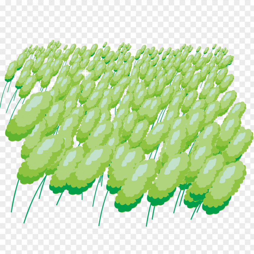 Cartoon Painted Green Rice Airplane PNG