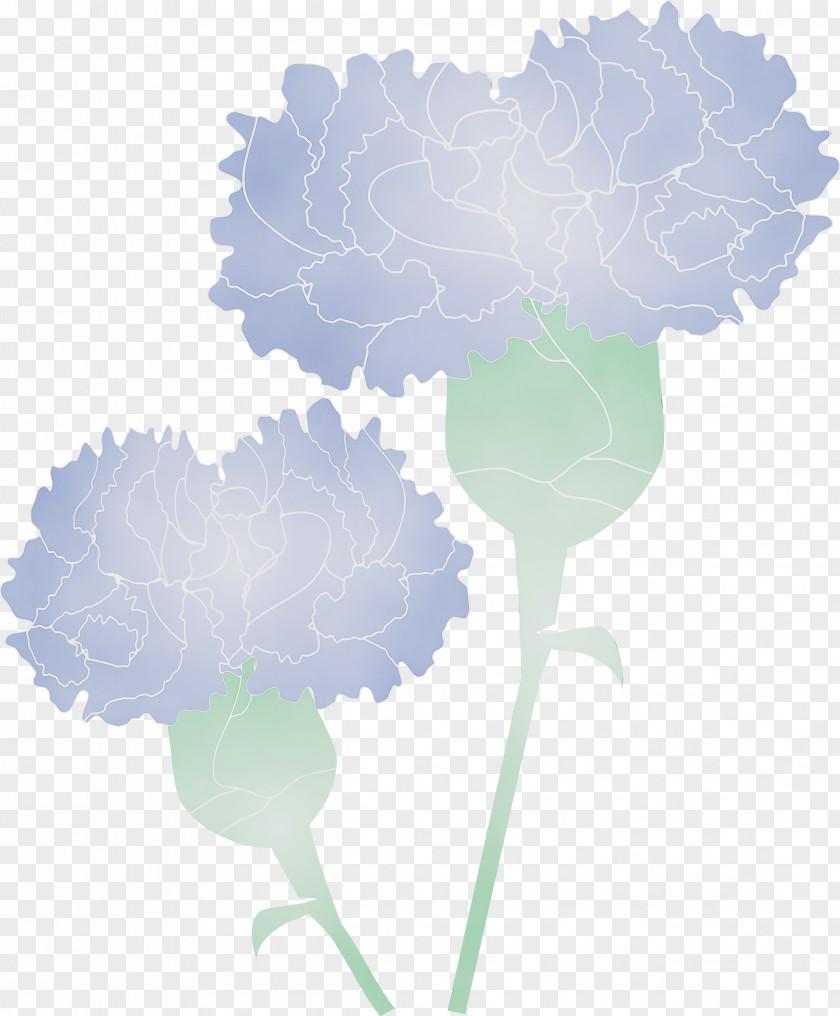 Cloud Leaf Plant Flower Carnation PNG