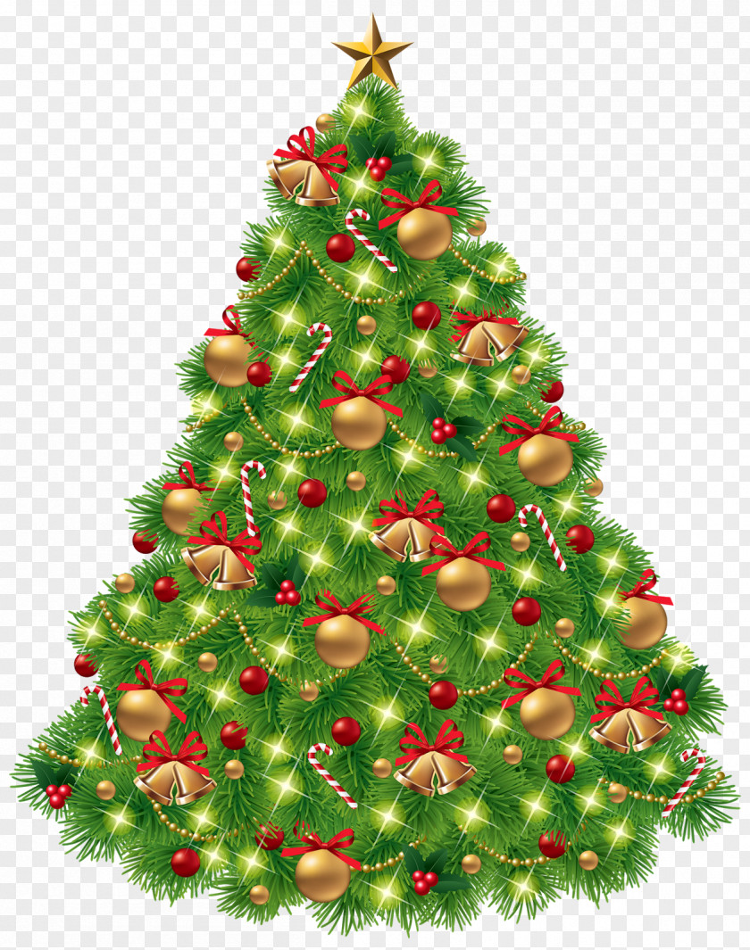 Contador Border Santa Claus Clip Art Christmas Tree Day Ornament PNG