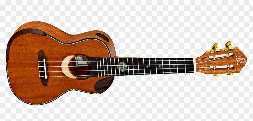 Along With Classical Ukulele Musical Instruments Guitar String PNG
