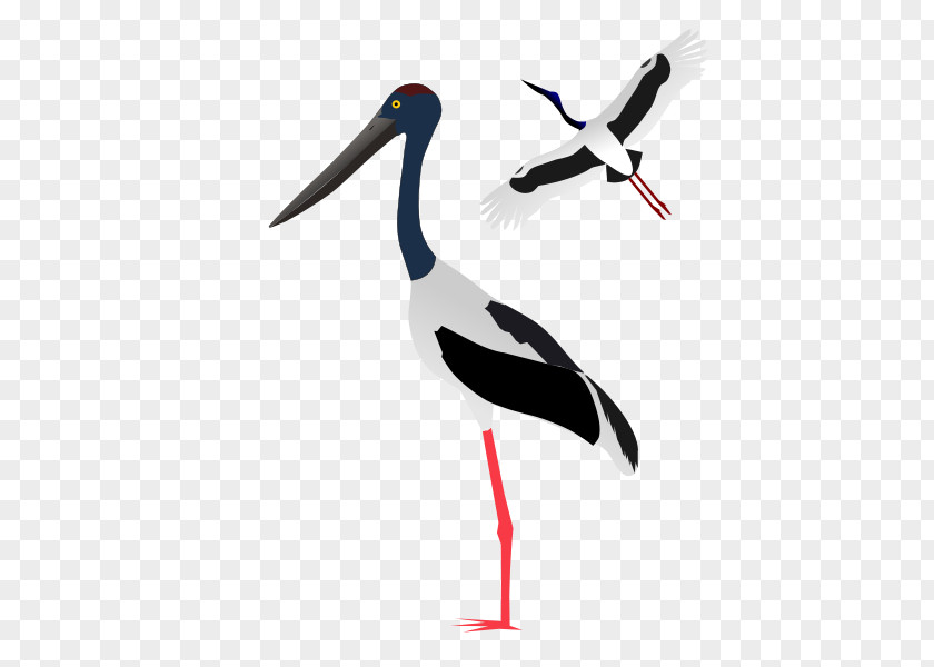 Blacknecked Stork White Clip Art PNG