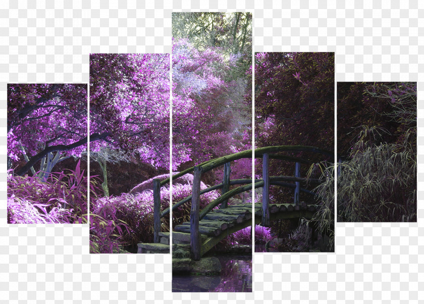 Bridge Forest Condolence Book Painting Funeral Murale PNG