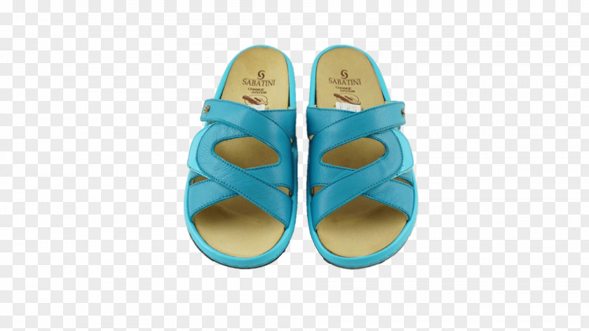 Fein Flip-flops Slipper Shoe Turquoise PNG