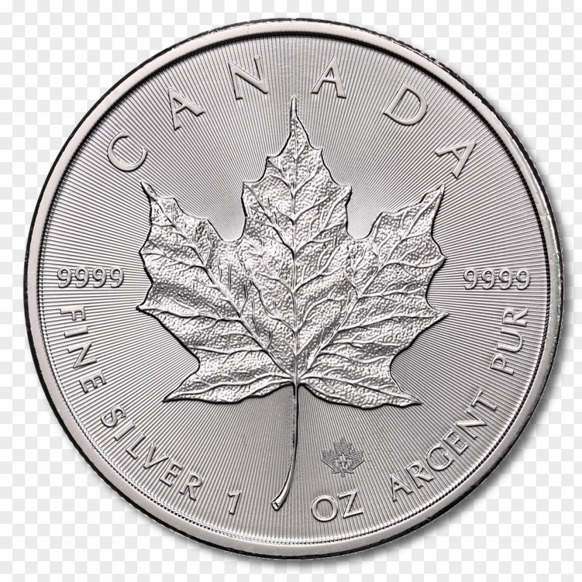 Oz Canadian Silver Maple Leaf Gold Bullion Coin PNG