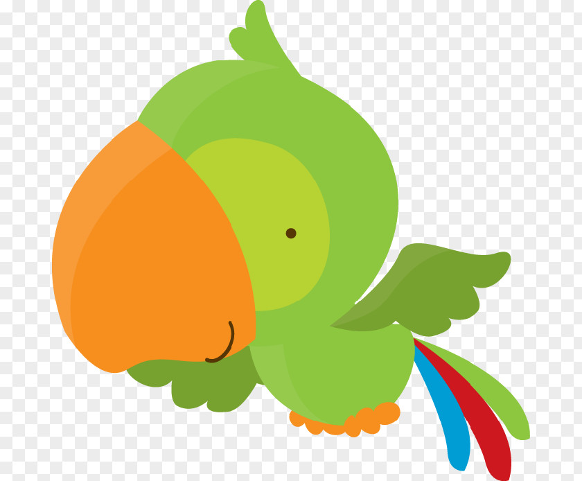 Parrot Painting Amazon Clip Art PNG
